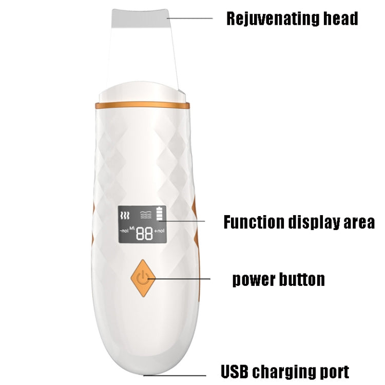 Exfoliating Face Wand | Vacuum Blackhead Remover | BeautyLand